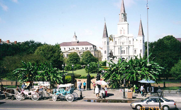 The St. Louis Cathedral